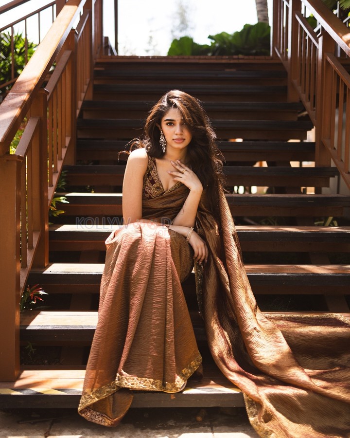 Elegant Krithi Shetty in a Sexy Brown Saree Photos 05