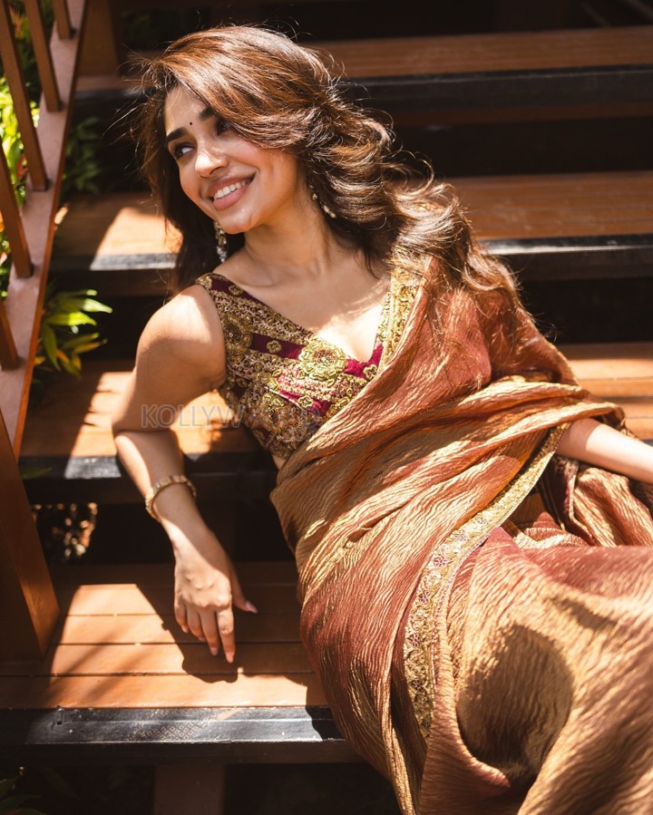 Elegant Krithi Shetty in a Sexy Brown Saree Photos 06