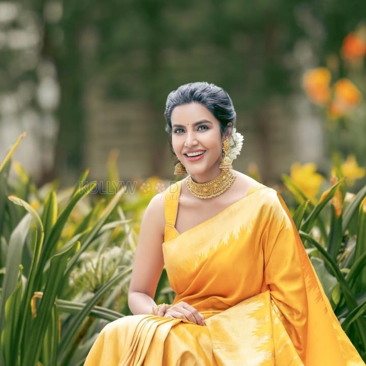 Gorgeous Priya Anand in a Traditional Silk Saree with Half Blouse Photos 01