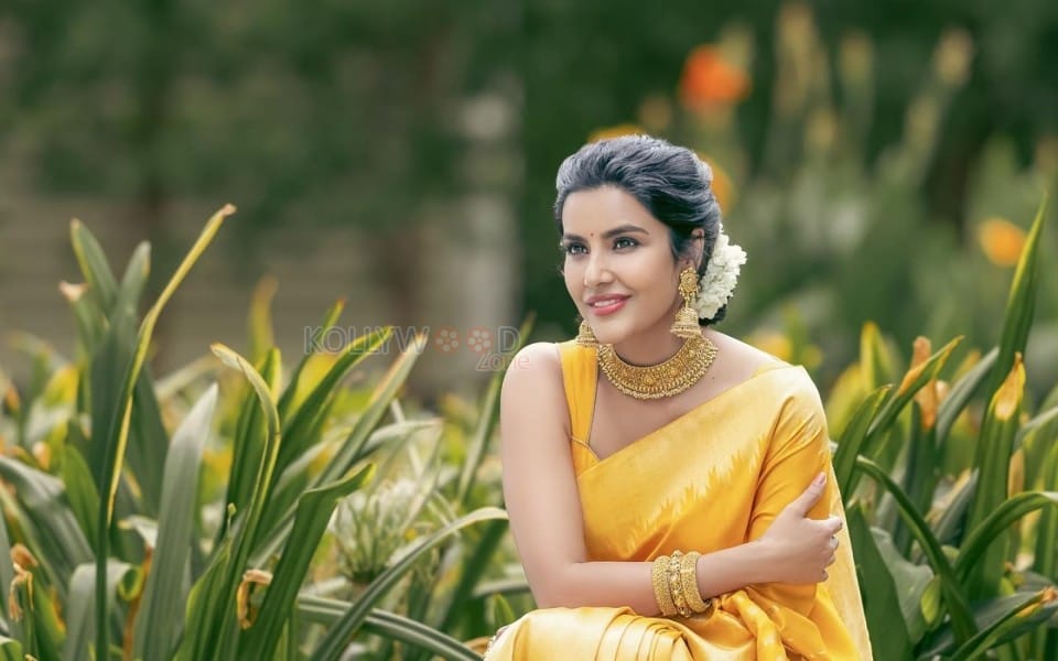 Gorgeous Priya Anand in a Traditional Silk Saree with Half Blouse Photos 03