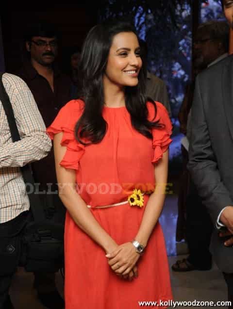 Hot Priya Anand At Movie Press Meet