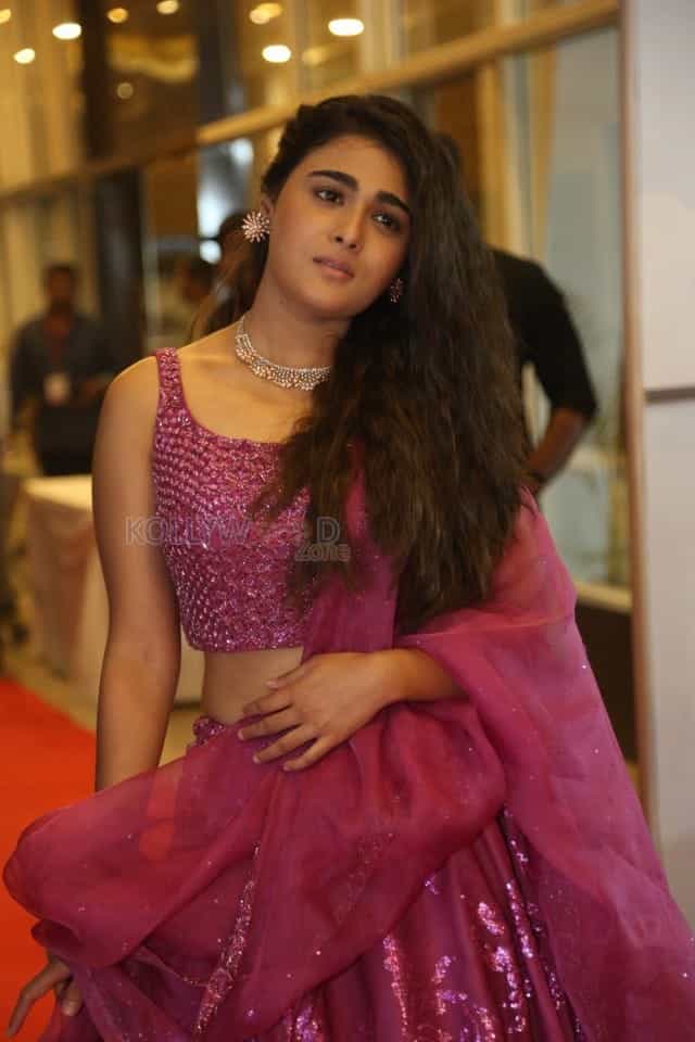 Shalini Pandey At Pre release Event Photos