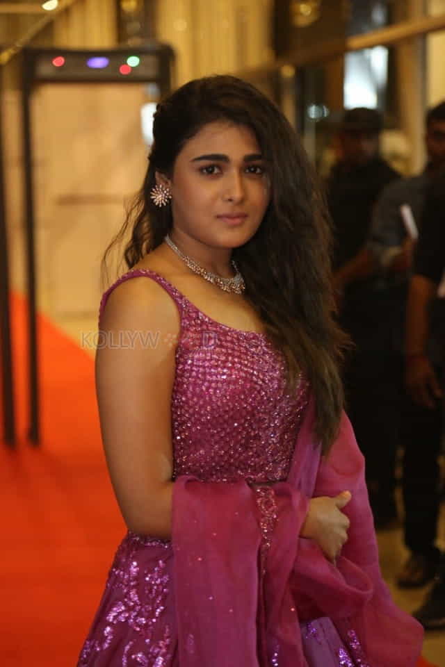 Shalini Pandey At Pre release Event Photos