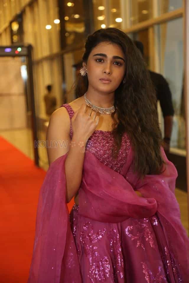 Shalini Pandey At Pre release Event Photos