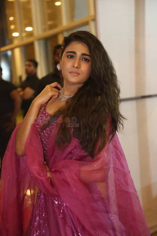 Shalini Pandey At Pre release Event Photos