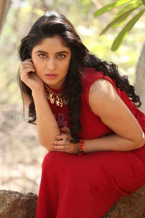 Telugu Actress Zahida Sam Photos