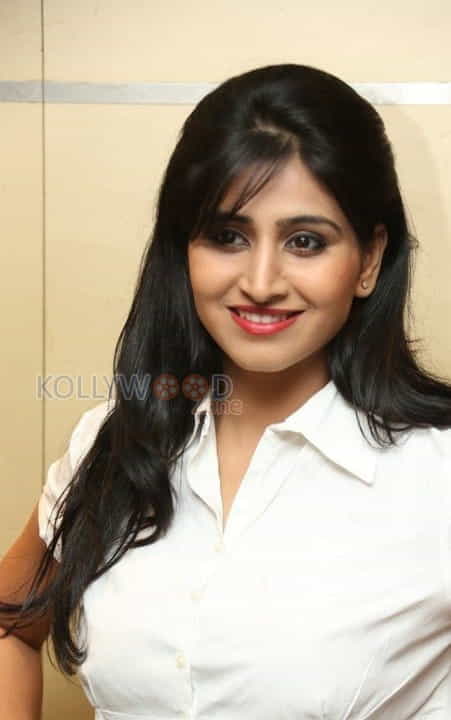 Tolly Actress Shamili Photos