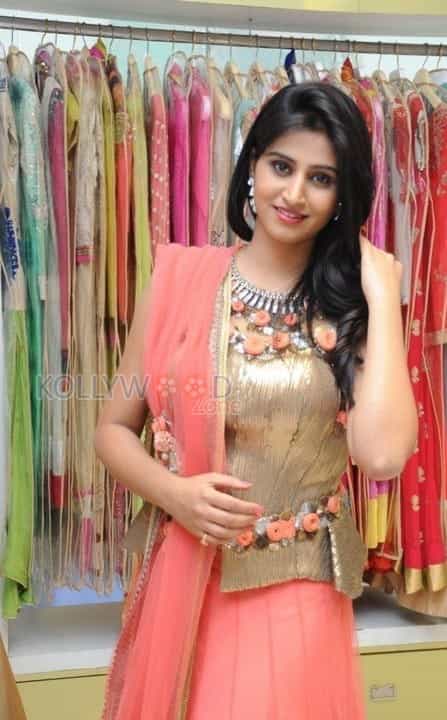 Tollywood Actress Shamili Sexy Saree Photos