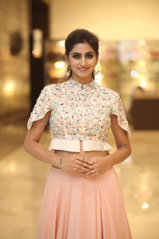 Varshini Sounderajan At Siima Th Edition Curtain Raiser Photos