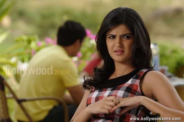 Actress Deeksha Seth Sexy Pictures