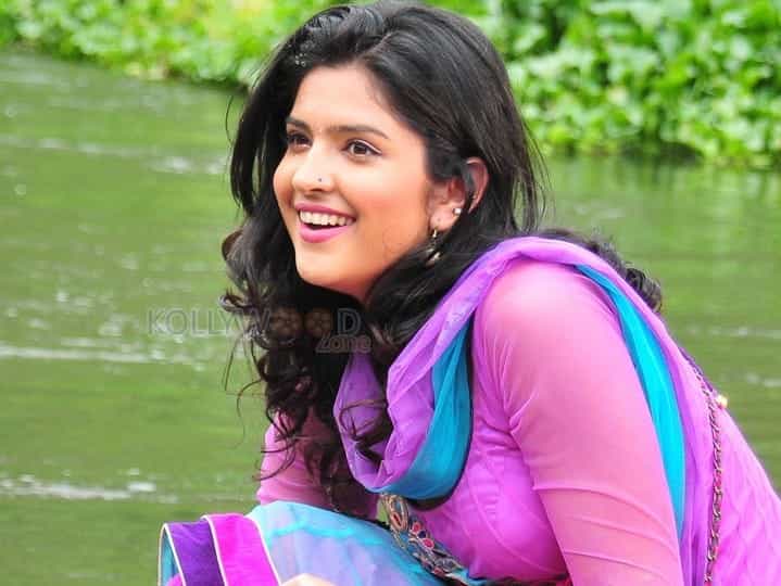 Actress Deeksha Seth Spicy Pics