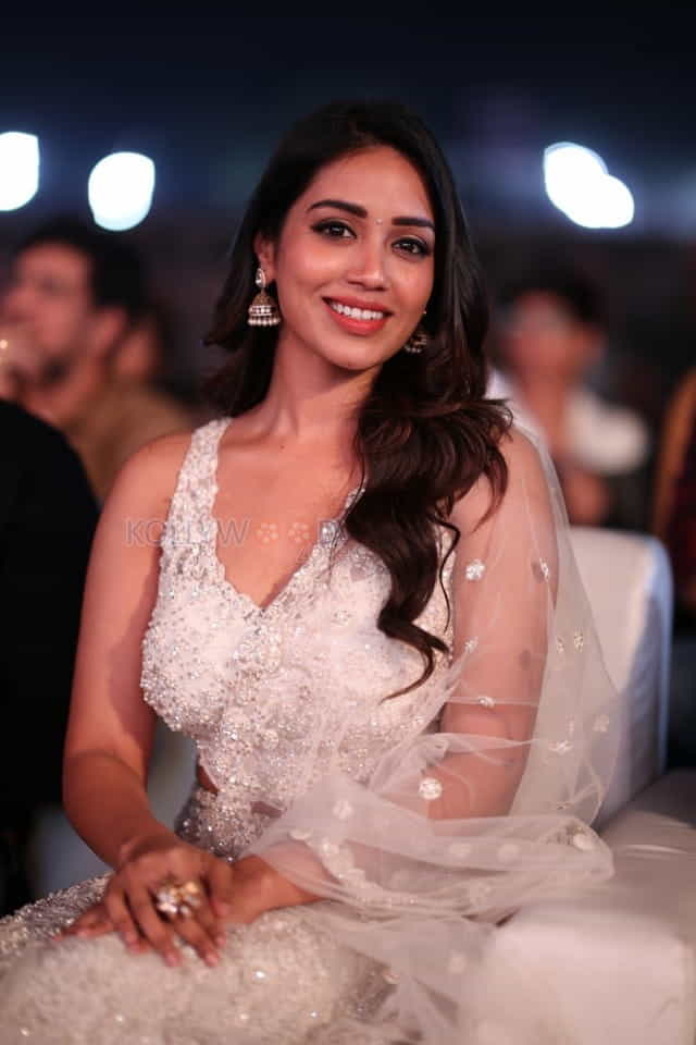 Actress Nivetha Pethuraj At Ala Vaikunthapurramuloo Musical Concert Event Photos