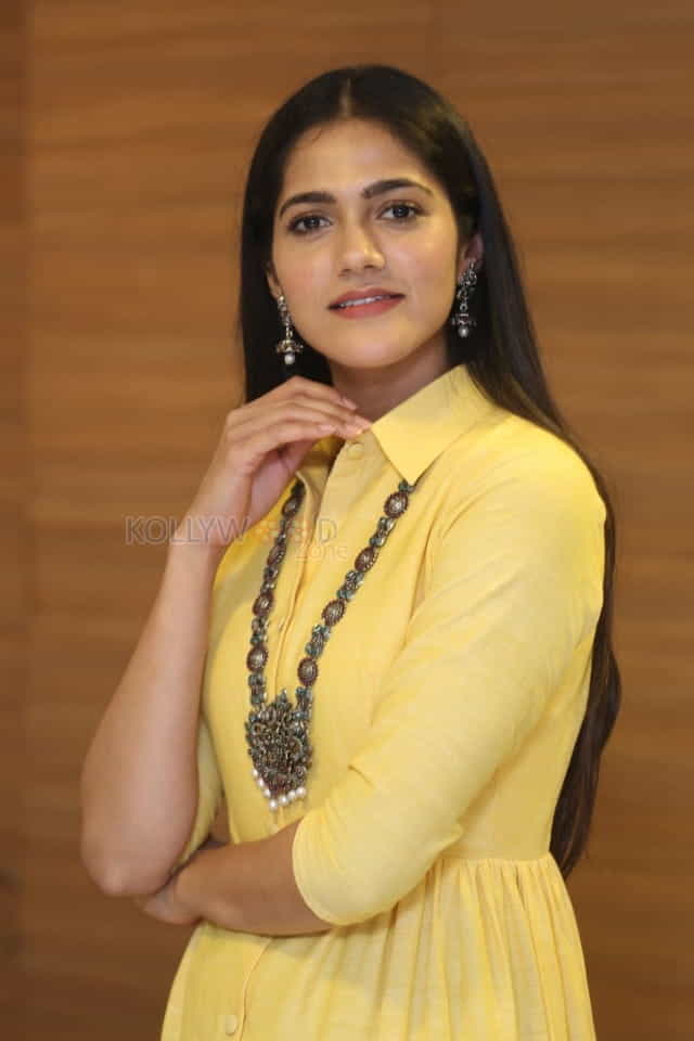 Actress Simran Choudhary At Stalin Movie Pre release Event Stills