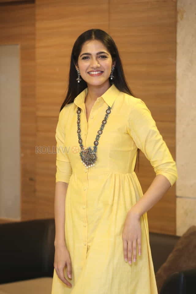 Actress Simran Choudhary At Stalin Movie Pre release Event Stills