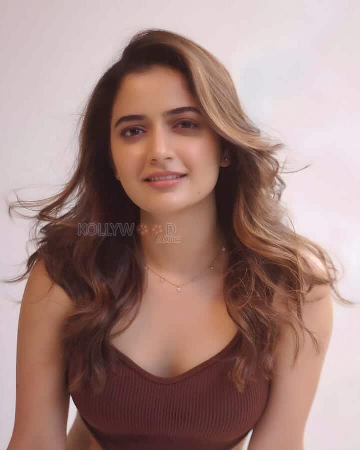 Alluring Ashika Ranganath in a Brown Rib Crop Top Photoshoot Stills 01