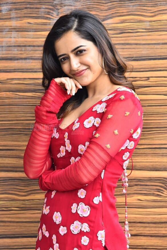 Beautiful Heroine Ashika Ranganath At Naa Saami Ranga Interview ...