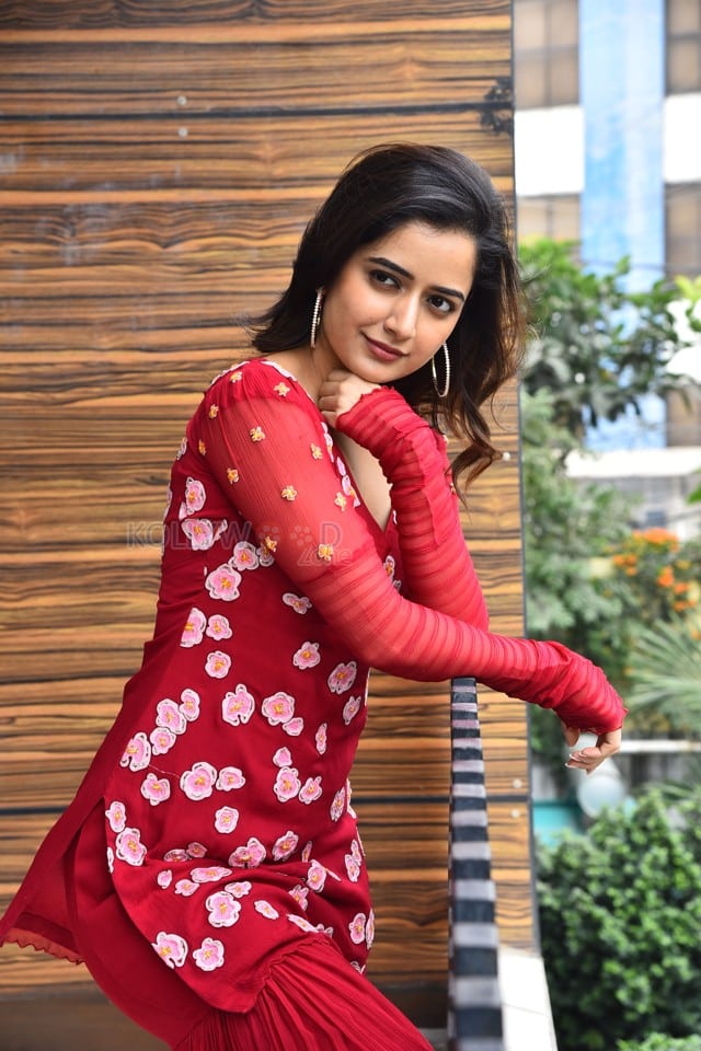 Beautiful Heroine Ashika Ranganath at Naa Saami Ranga Interview Pictures 75