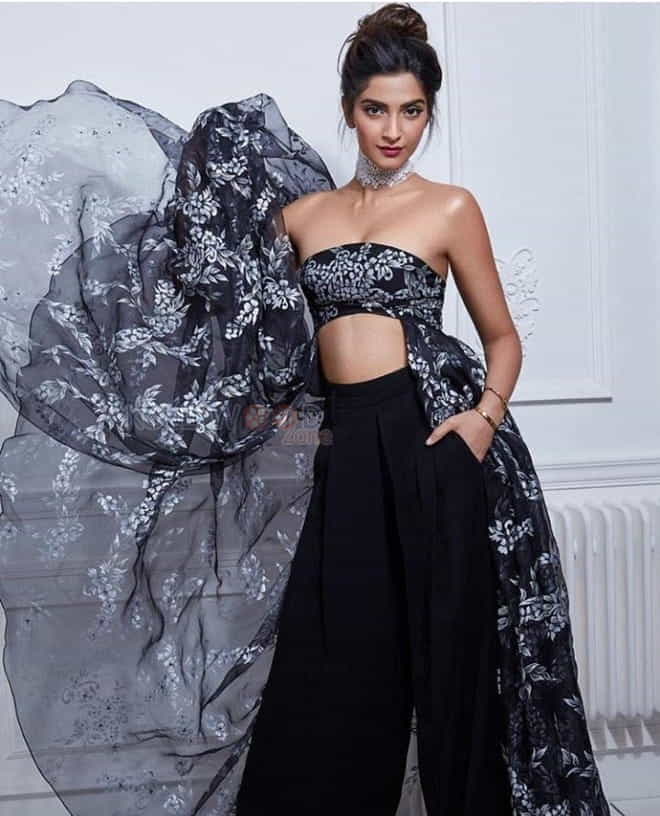 Bollywood Beauty Sonam Kapoor Photos