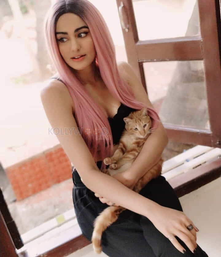 Bollywood Sexy Babe Adah Sharma Photos