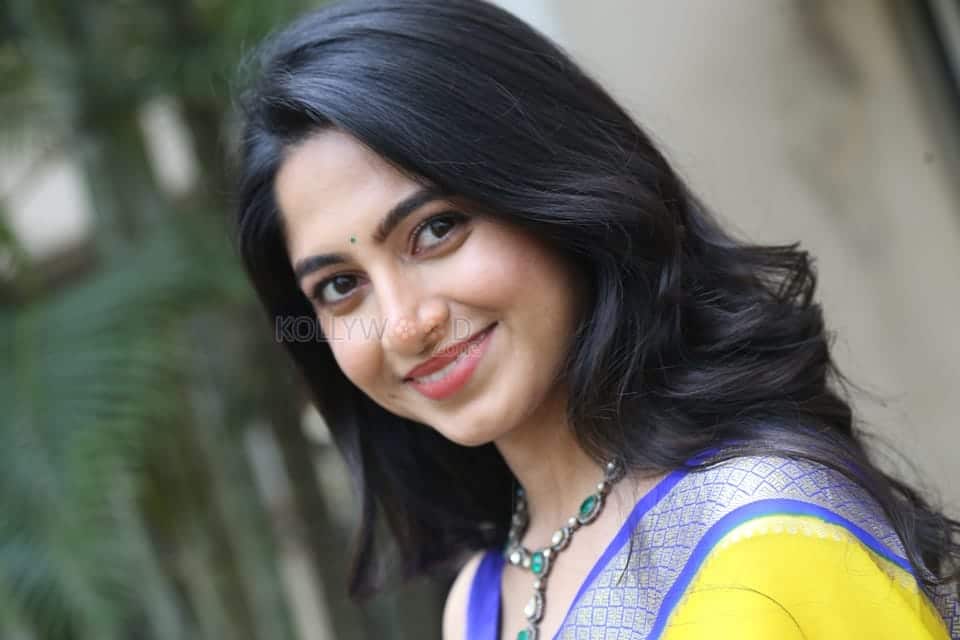 Heroine Kushee Ravi at Pindam Pre Release Press Meet Pictures 23