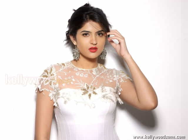 Sexy Actress Deeksha Seth Photos