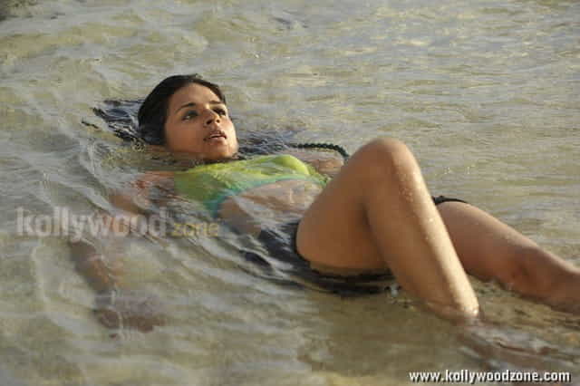 Shradha Das Spicy Photos