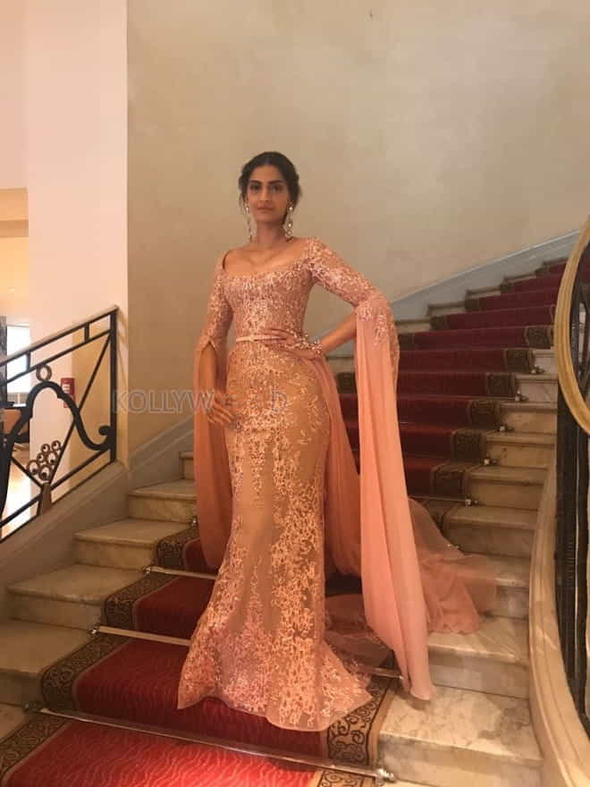 Sonam Kapoor At Cannes Film Festival Photos