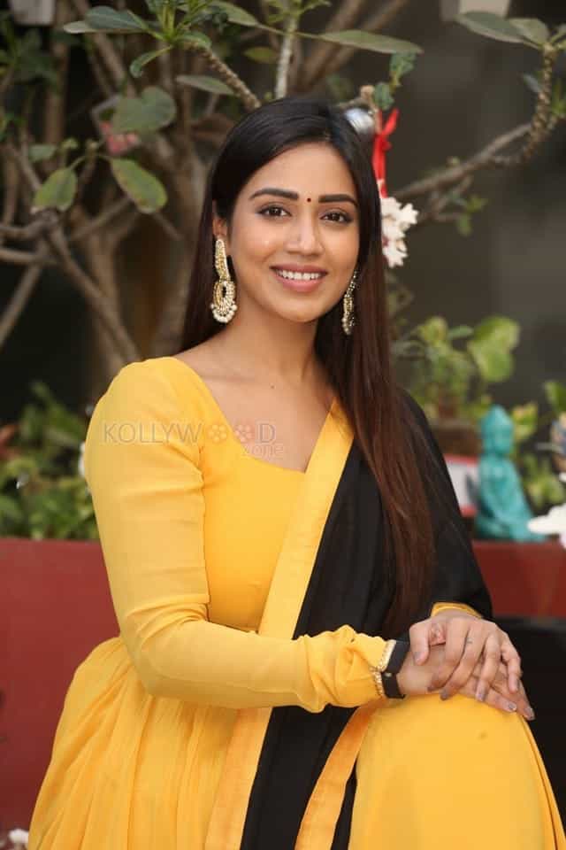 Tamil Actress Nivetha Pethuraj New Year Interview Pictures