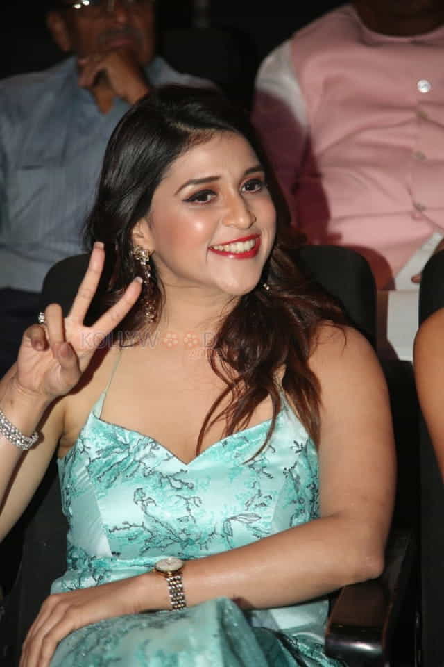 Actress Mannara Chopra At Sita Pre Release Event Stills 14