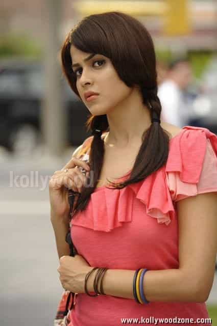 Cute Sexy Genelia Pictures 12