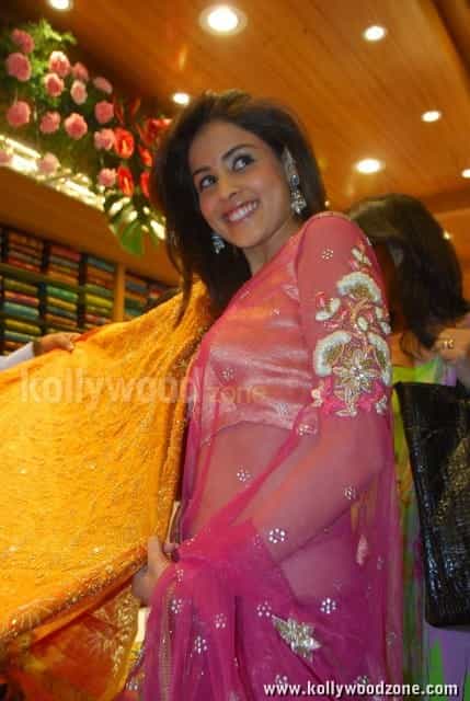 Genelia In A See Through Saree Navel Pictures 05