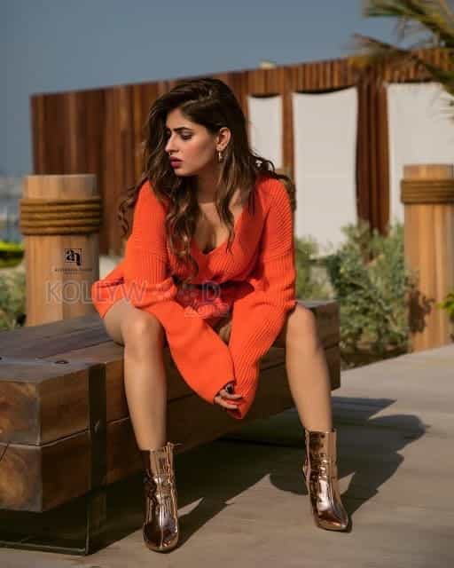 Karishma Sharma Sexy Hot Photos 03