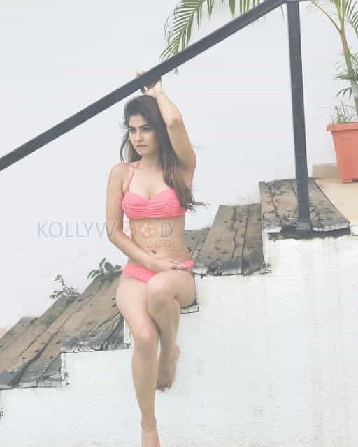 Model Karishma Sharma Sexy Photos 04