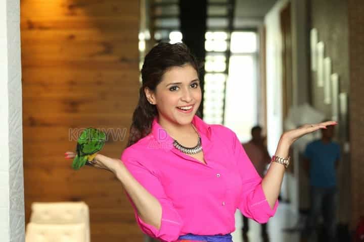 Telugu Actress Mannara Stills 02