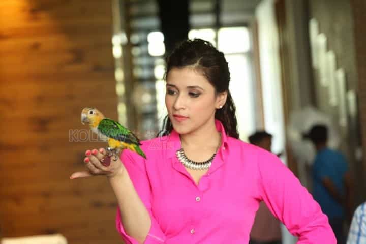 Telugu Actress Mannara Stills 03