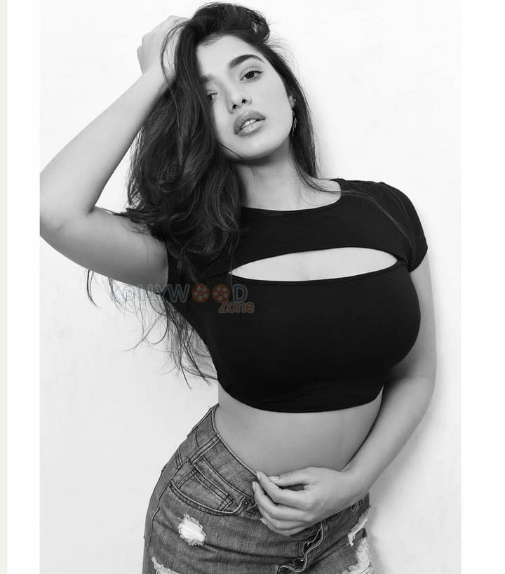 Actress And Model Ketika Sharma Photos 01