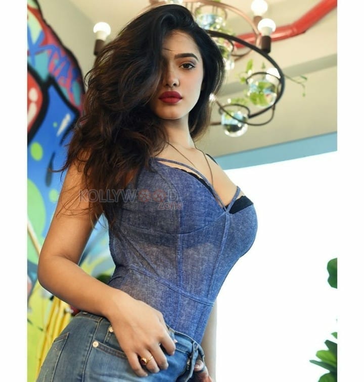 Actress And Model Ketika Sharma Photos 03