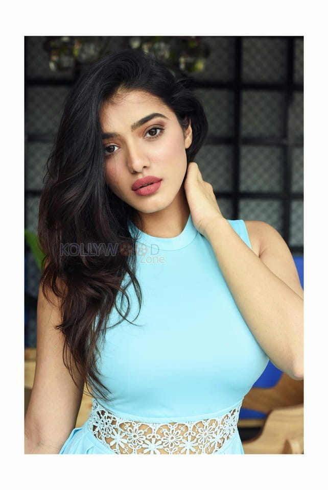 Actress And Model Ketika Sharma Photos 13