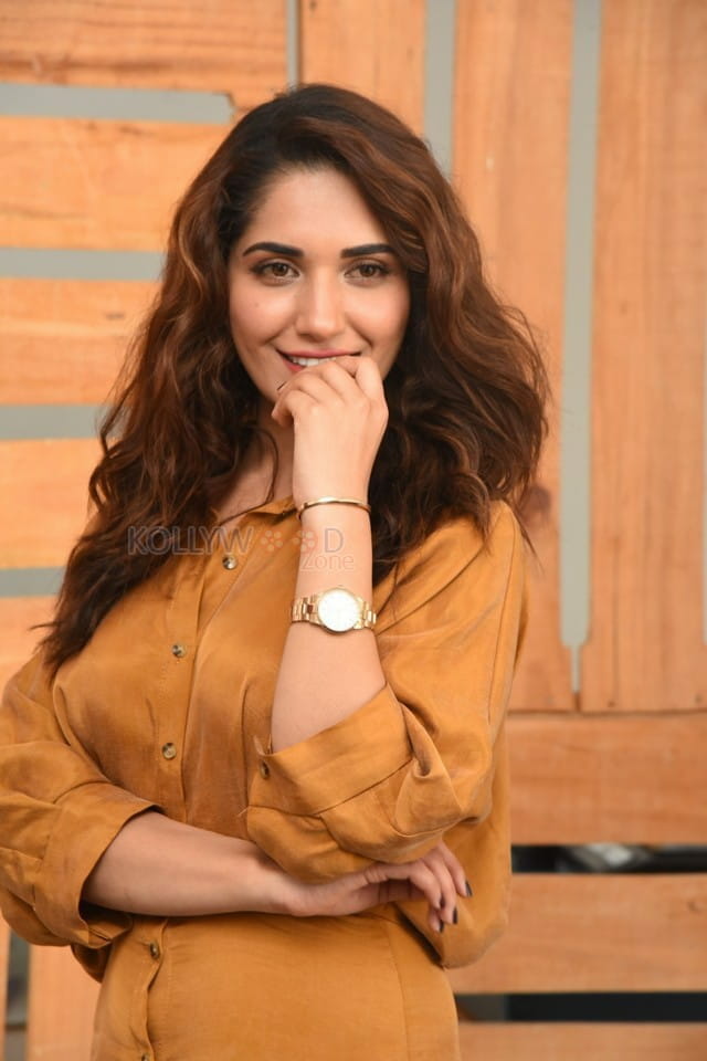 Actress Ruhani Sharma At Hit Movie Pre release Press Meet Pictures 08