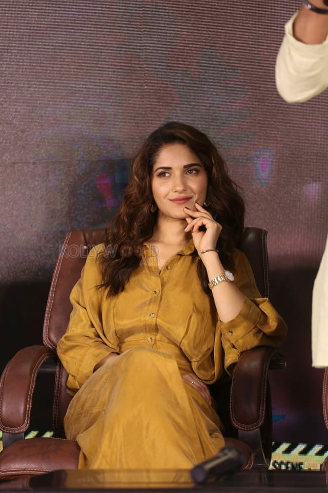 Actress Ruhani Sharma At Hit Movie Pre release Press Meet Pictures 17