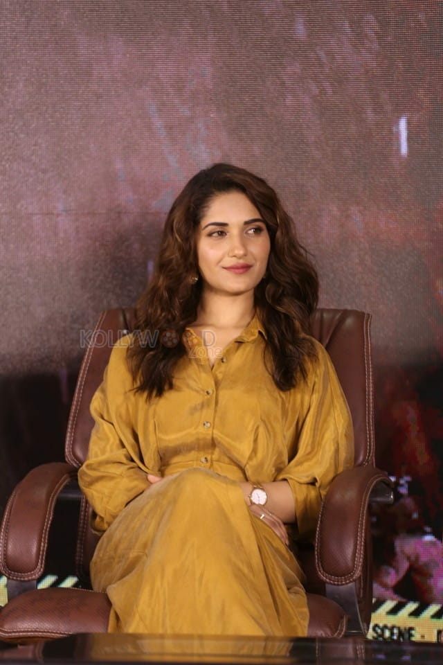 Actress Ruhani Sharma At Hit Movie Pre release Press Meet Pictures 19