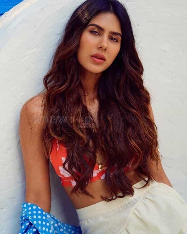 Actress Sonam Bajwa Sexy New Photos 11