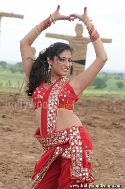 Beautiful Hari Priya In Pilla Zamindar Movie Pictures 03