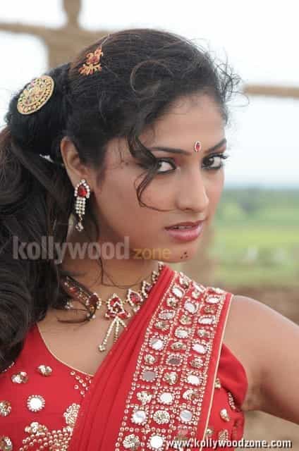 Beautiful Hari Priya In Pilla Zamindar Movie Pictures 04