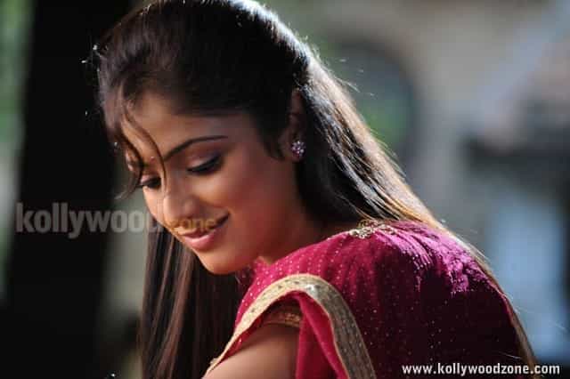 Beautiful Hari Priya In Pilla Zamindar Movie Pictures 09