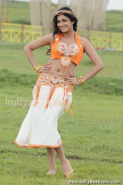 Beautiful Hari Priya In Pilla Zamindar Movie Pictures 17