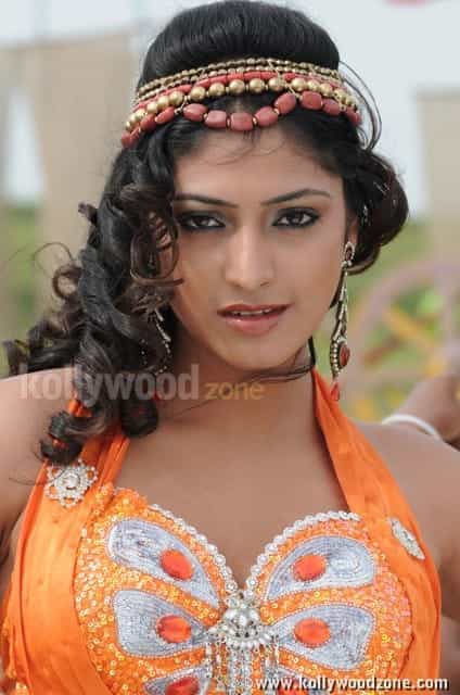 Beautiful Hari Priya In Pilla Zamindar Movie Pictures 19