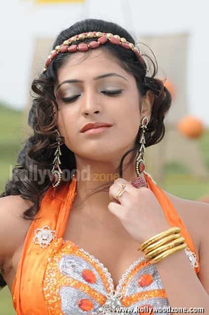 Beautiful Hari Priya In Pilla Zamindar Movie Pictures 21