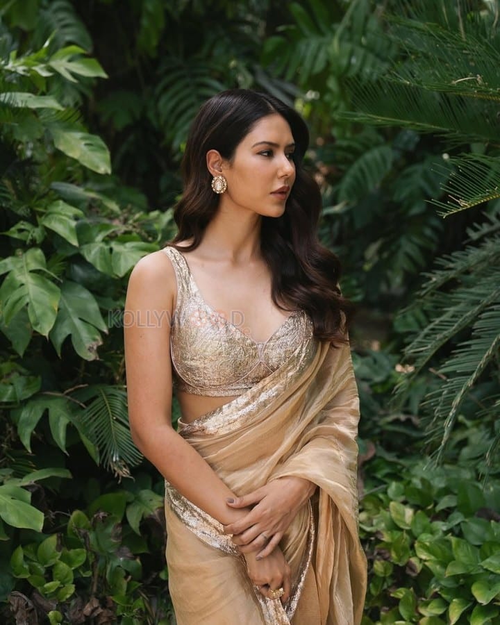 Beautiful Sonam Bajwa in a Silk Golden Saree with Gota Border and Sleeveless Blouse Photos 01