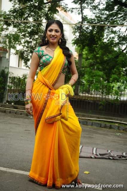 Hari Priya Hot Saree Pictures 15